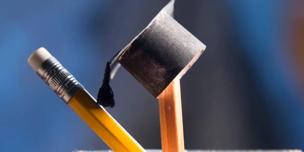 Education Niche