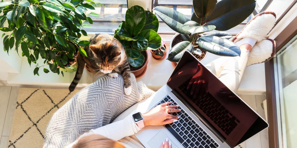 Digital Service Or Product
